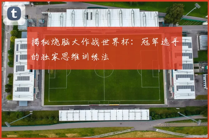 揭秘烧脑大作战世界杯：冠军选手的独家思维训练法