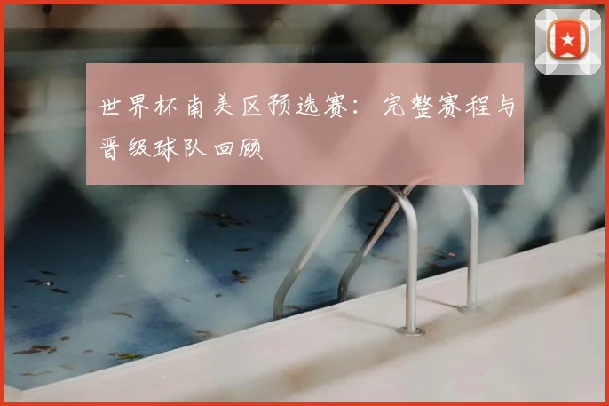 世界杯南美区预选赛：完整赛程与晋级球队回顾