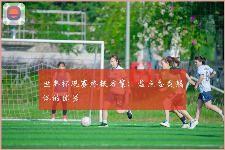世界杯观赛终极方案:盘点各类载体的优劣