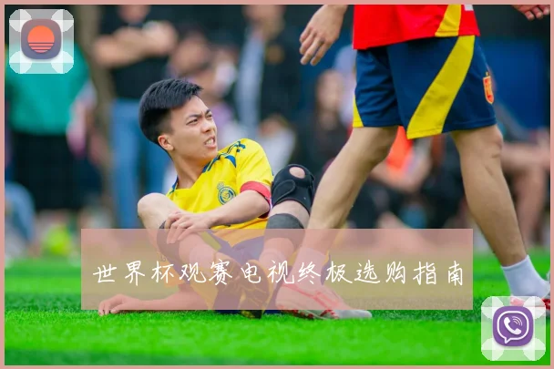 世界杯观赛电视终极选购指南